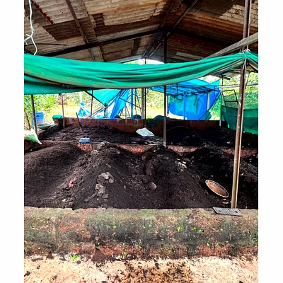 vermi compost