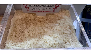 1121 Creamy Sella (1718 Creamy Sella)