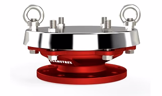 Flame Arrestor