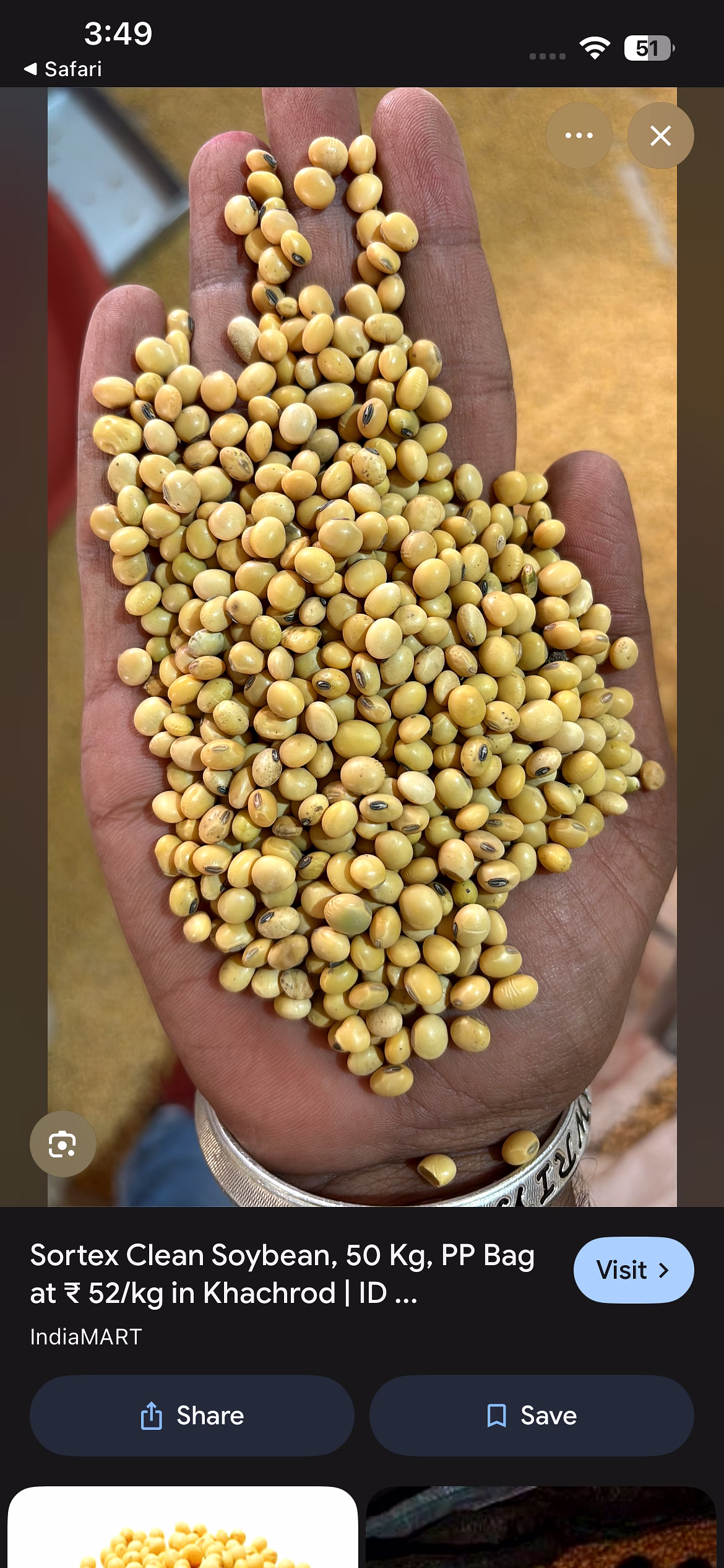 Soyabean image 3