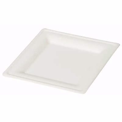 8" square plate