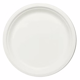 9" round plate