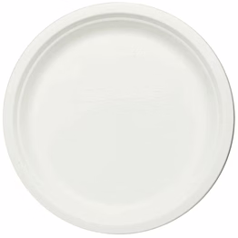 12" round plate