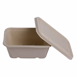 750 ml block container + lid