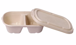 2 COMPARTMENT FOOD CONTAINER