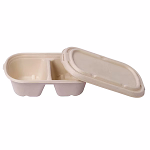 2 COMPARTMENT FOOD CONTAINER