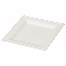 9" square plate