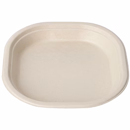 10" square plate