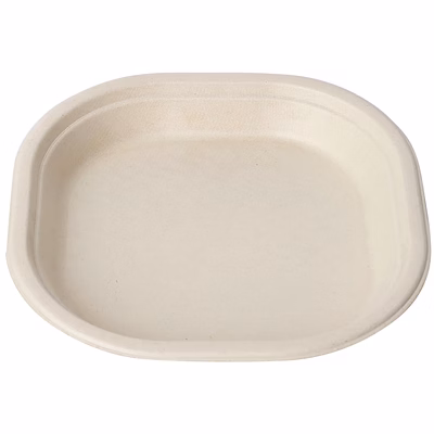 10" square plate