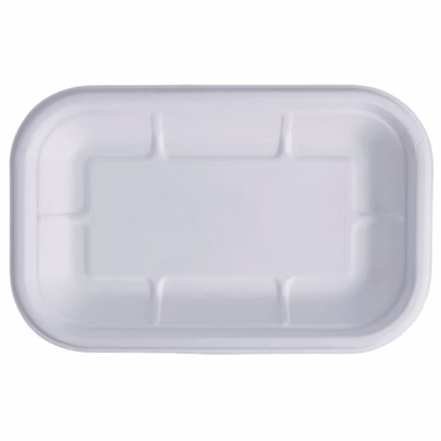 rectagular snack plate