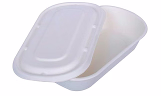 500 ML RECTANGULAR CONTAINER + LID