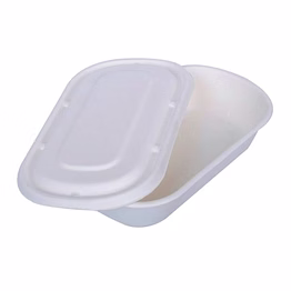 650 ml rectangular container + lid