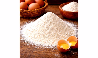 Egg White – Bulk Wholesale Export Quality