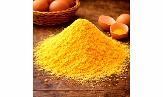 ⁠Egg Yolk – Bulk Wholesale Export Quality