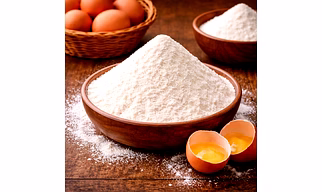 White Egg Albumin Powder – Bulk Wholesale Export Quality