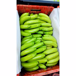 green bananas