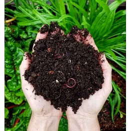 aura vermicompost | organic soil enricher | 100% natural fertilizer | export quality