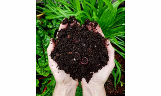 AURA Vermicompost | Organic Soil Enricher | 100% Natural Fertilizer | Export Quality