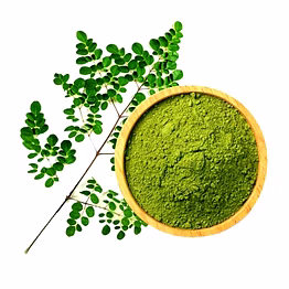aura moringa powder | superfood | 92 nutrients | food grade | export quality