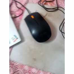 mouse