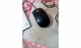 Mouse