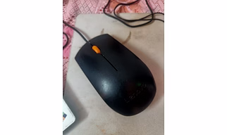 Mouse