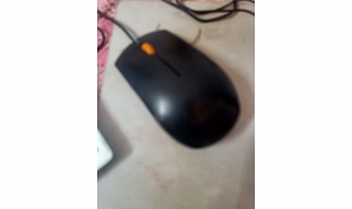 Mouse