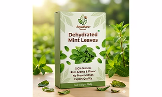 NATURAL MINT POWDER