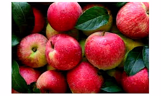apple2