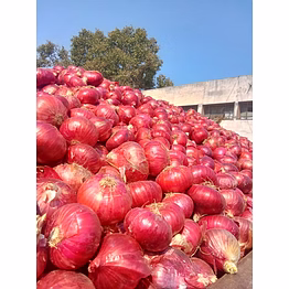 mango, chilli, banana, onion, garlic, and all agriculture products and electronics products and buyer requirments