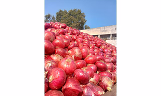 Mango, chilli, Banana, onion, garlic, and all agriculture products and electronics products and buyer requirments
