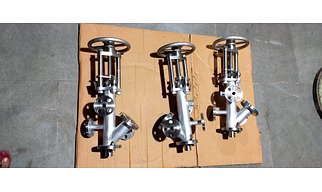 Ram type Flush bottom valve