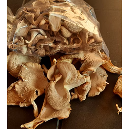 sajar kaju oyster mushroom dehydrated