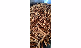 Cinnamon Stick