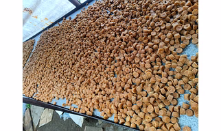 Jaggery Cube