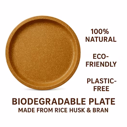 biodegradable & compostable plates – rice husk disposable tableware - 12-inch round plate