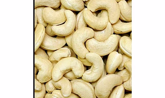 Cashew