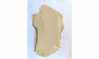 Onion powder