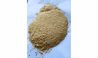 Garlic powder