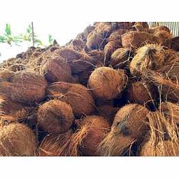 coconut