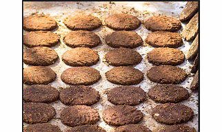 Cowdung cakes