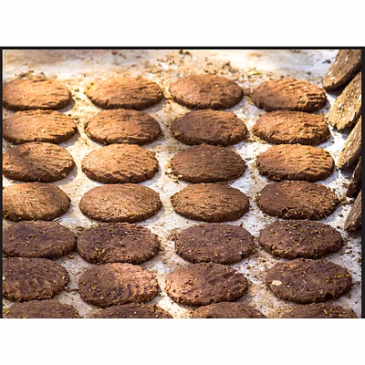 cowdung cakes