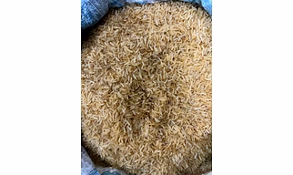 Basmati Rice