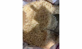 Basmati Rice