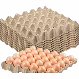 cardboard egg tray