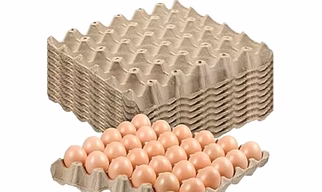 Cardboard Egg tray