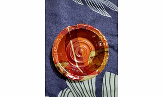 7 inch disposable coloured katora bowl