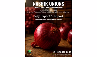Red Onion