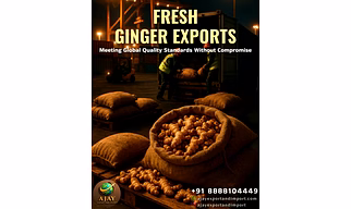 Dry Ginger