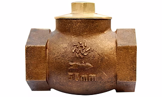 R BRAND GUN METAL HORIZONTAL  CHECK VALVE 25MM